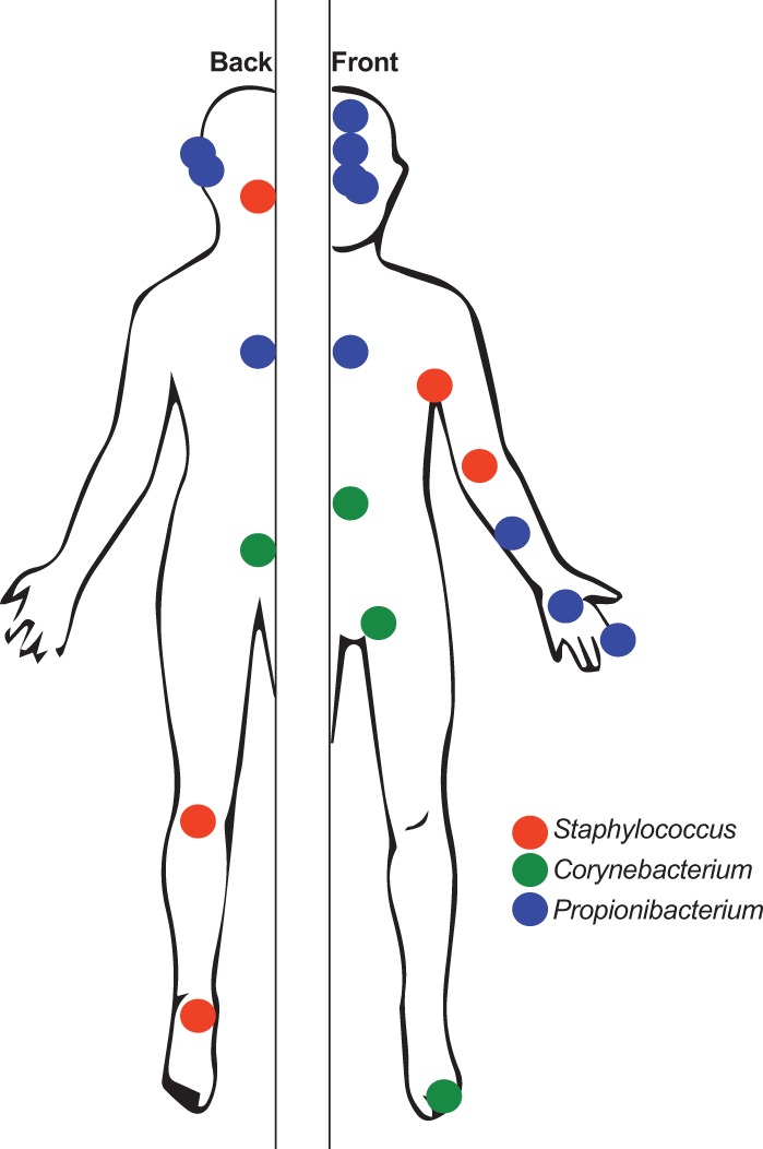 Figure 1.