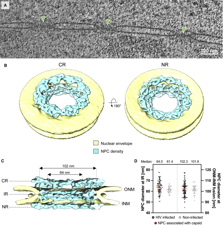 Figure 6