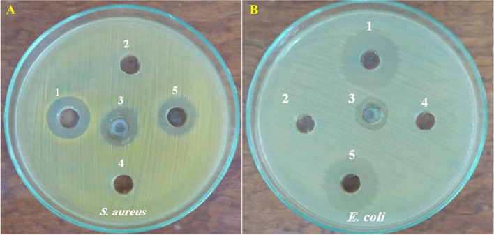 Fig. 10