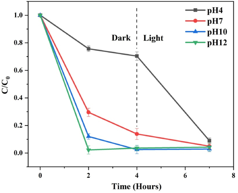 Fig. 10