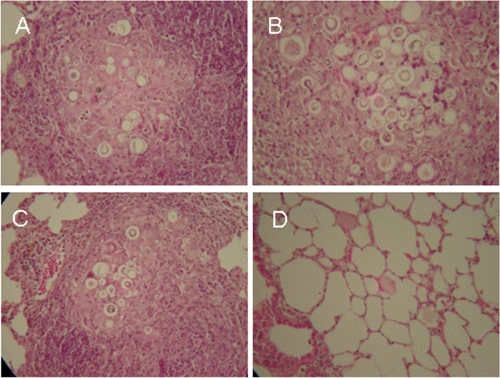 FIG. 5.