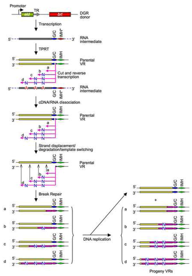 Figure 7