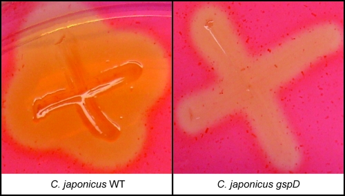 FIG. 4.