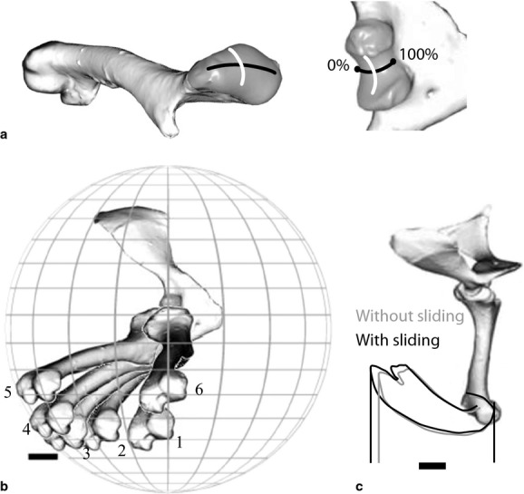 Fig. 5