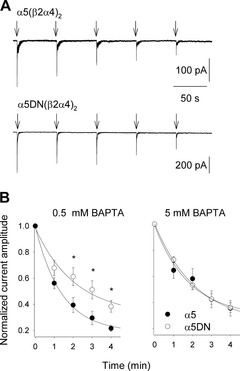 Figure 5.