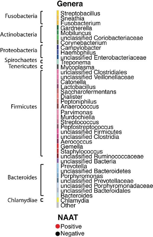 Graphical Abstract Figure.