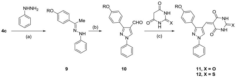 Scheme 2