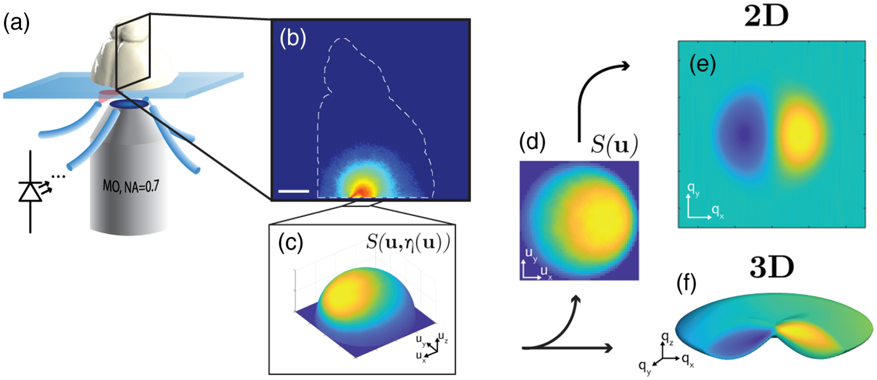 Fig. 1.