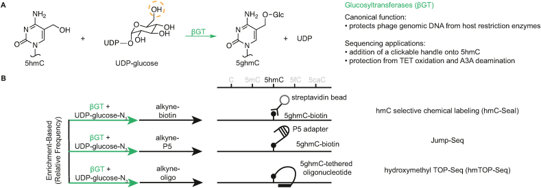 Figure 2