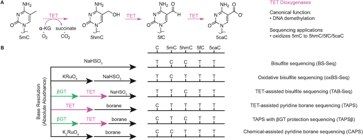 Figure 3