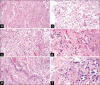 Figure 2: