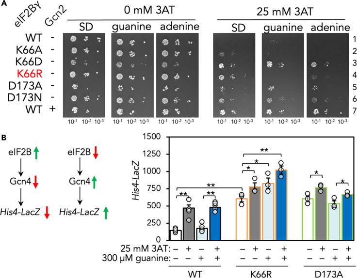 Figure 4