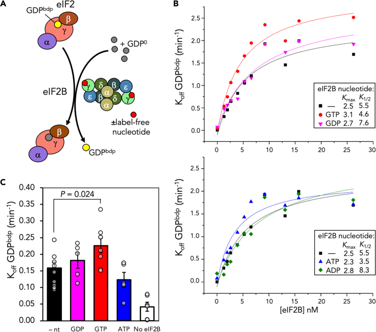 Figure 2