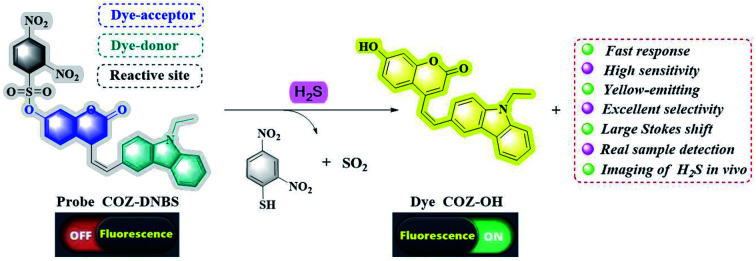 graphic file with name d2ra00997h-ga.jpg