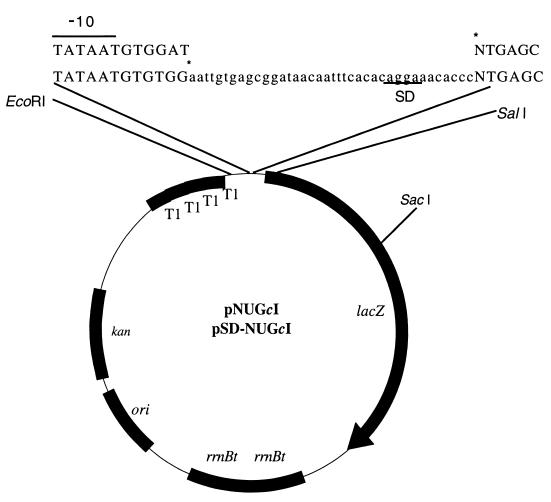 FIG. 1