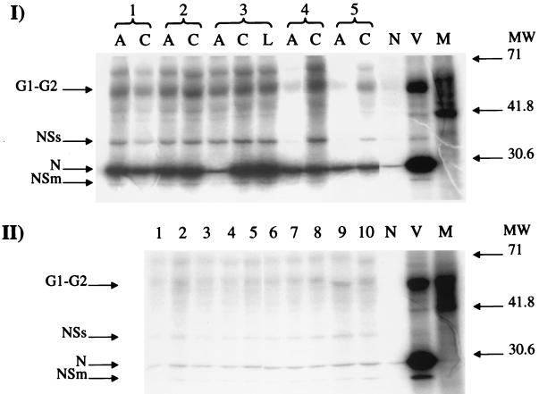 FIG. 1