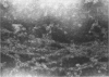244