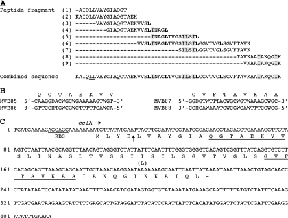 FIG. 4.