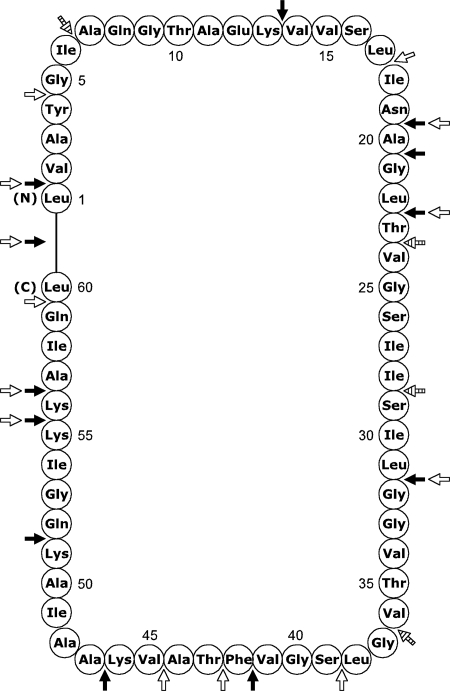 FIG. 5.