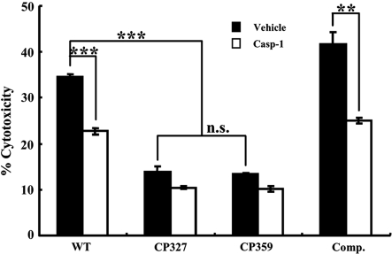 Figure 5.