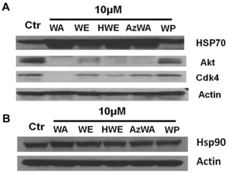 Fig.2