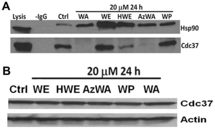 Fig.4