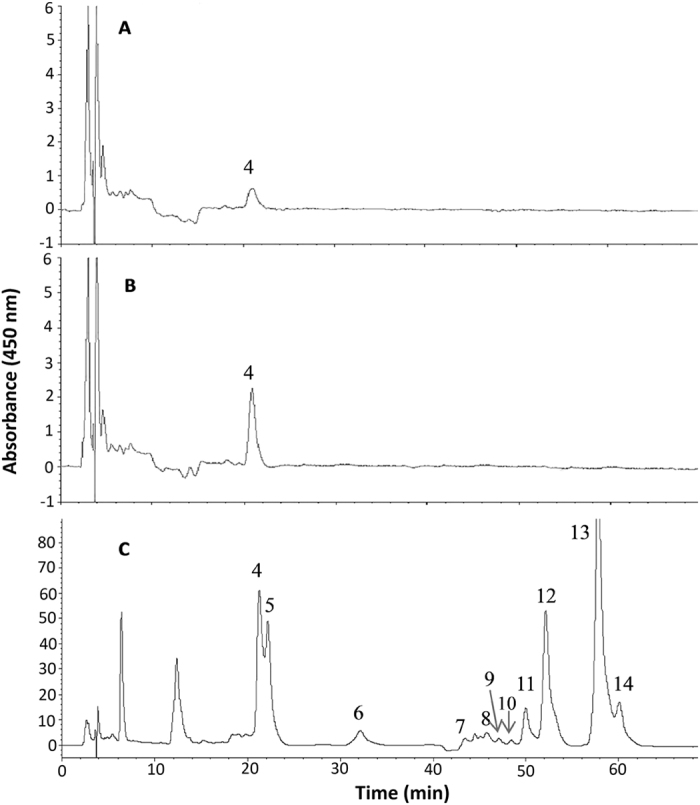 Figure 4