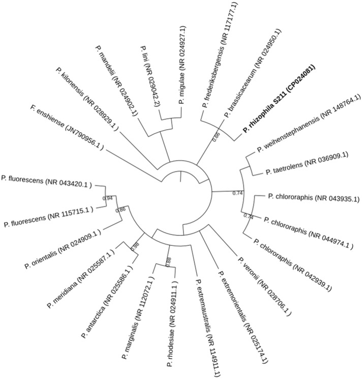 Figure 1