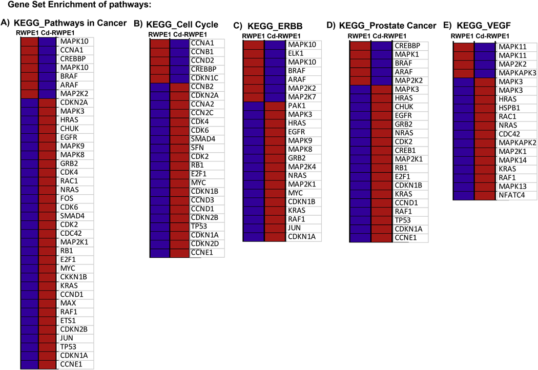 Figure 4: