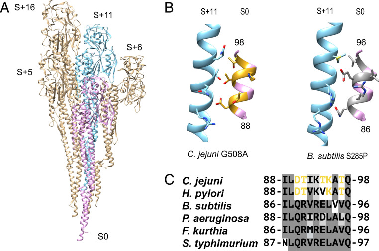 Fig. 3.