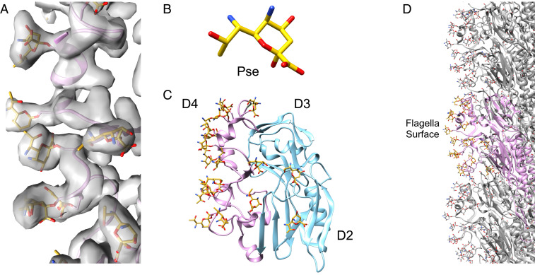 Fig. 2.