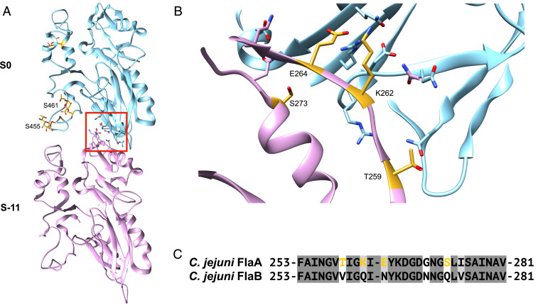 Fig. 4.