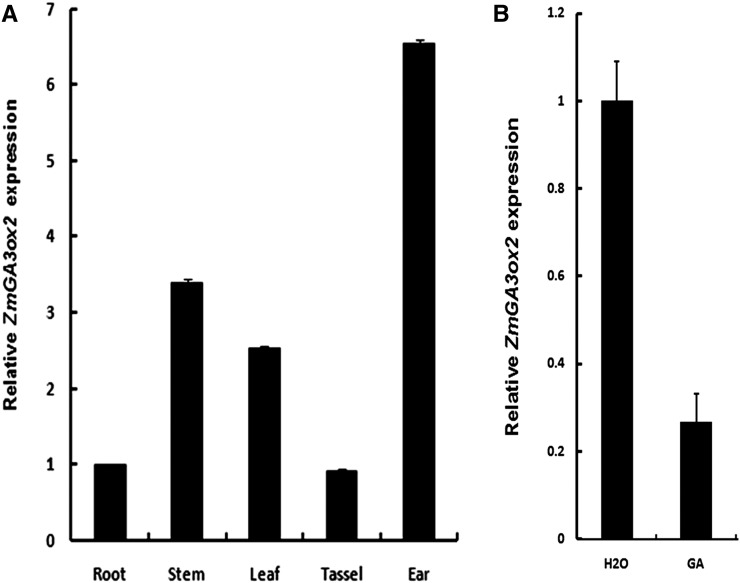 Figure 7.