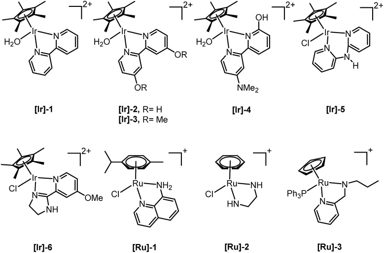 Fig. 3