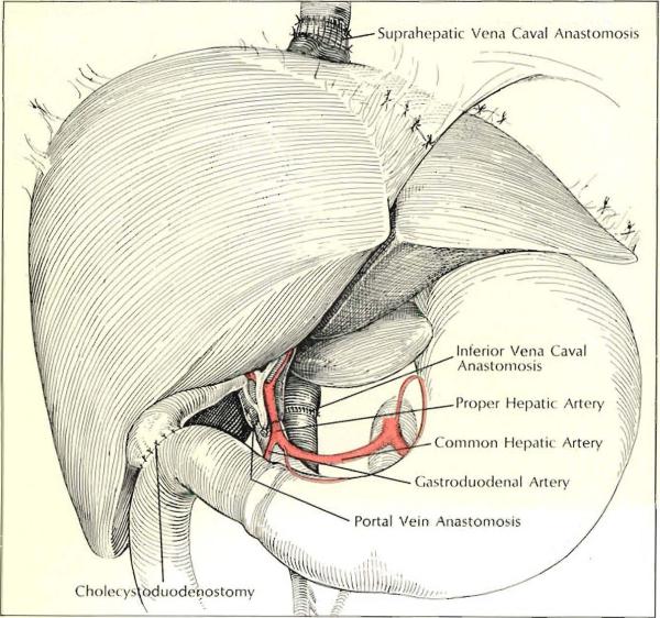 graphic file with name nihms-247414-f0001.jpg