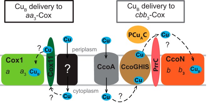 FIG 6 