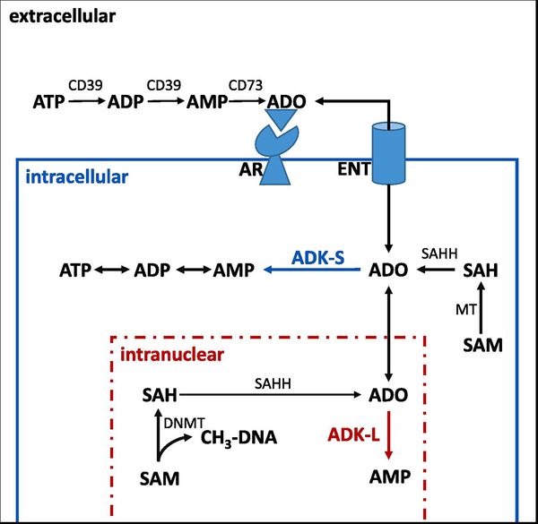 Figure 1: