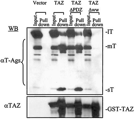 FIG. 4.