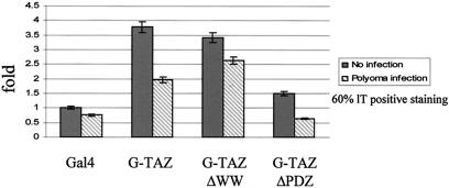 FIG. 7.