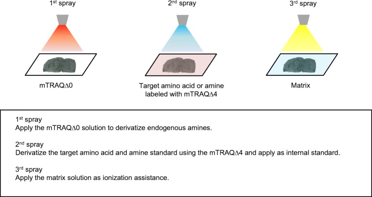 Fig. 2