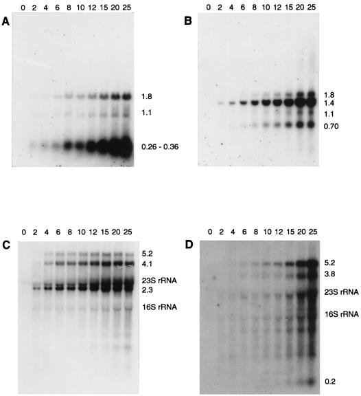 FIG. 5