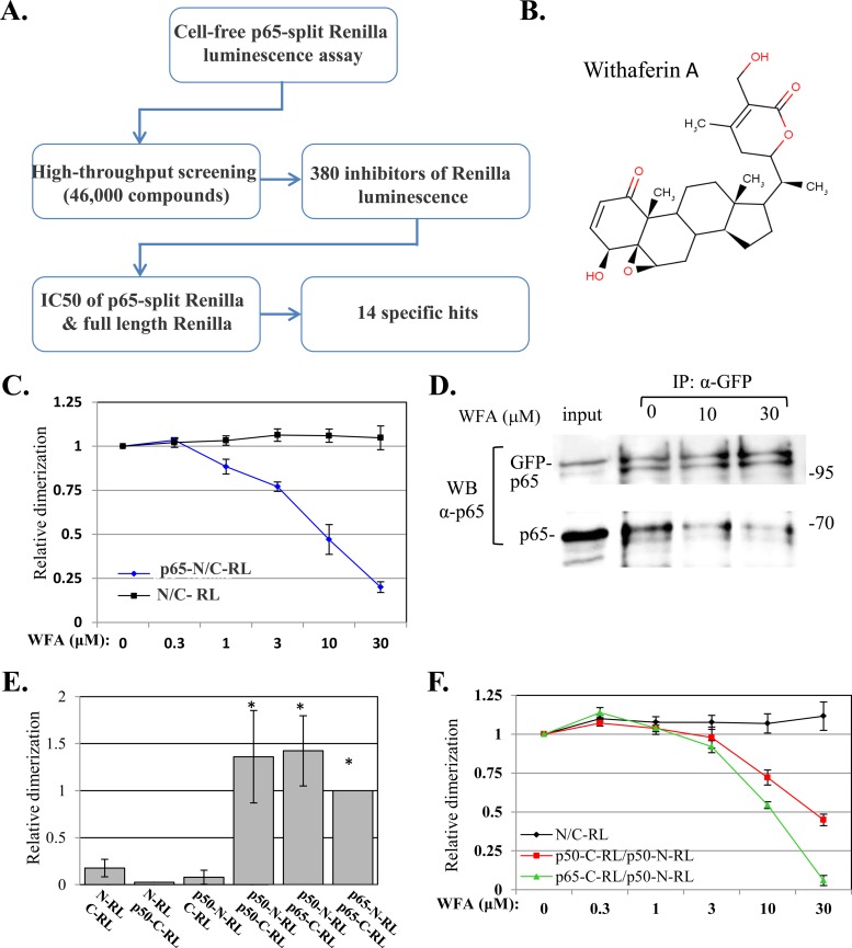 FIG 2