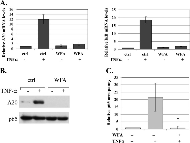 FIG 3