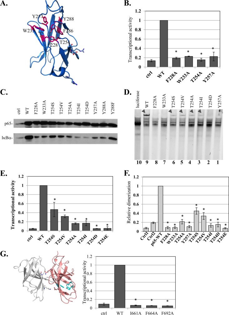 FIG 6