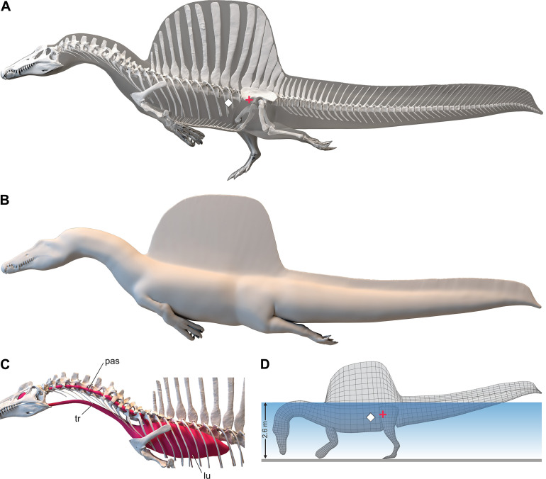 Figure 2.