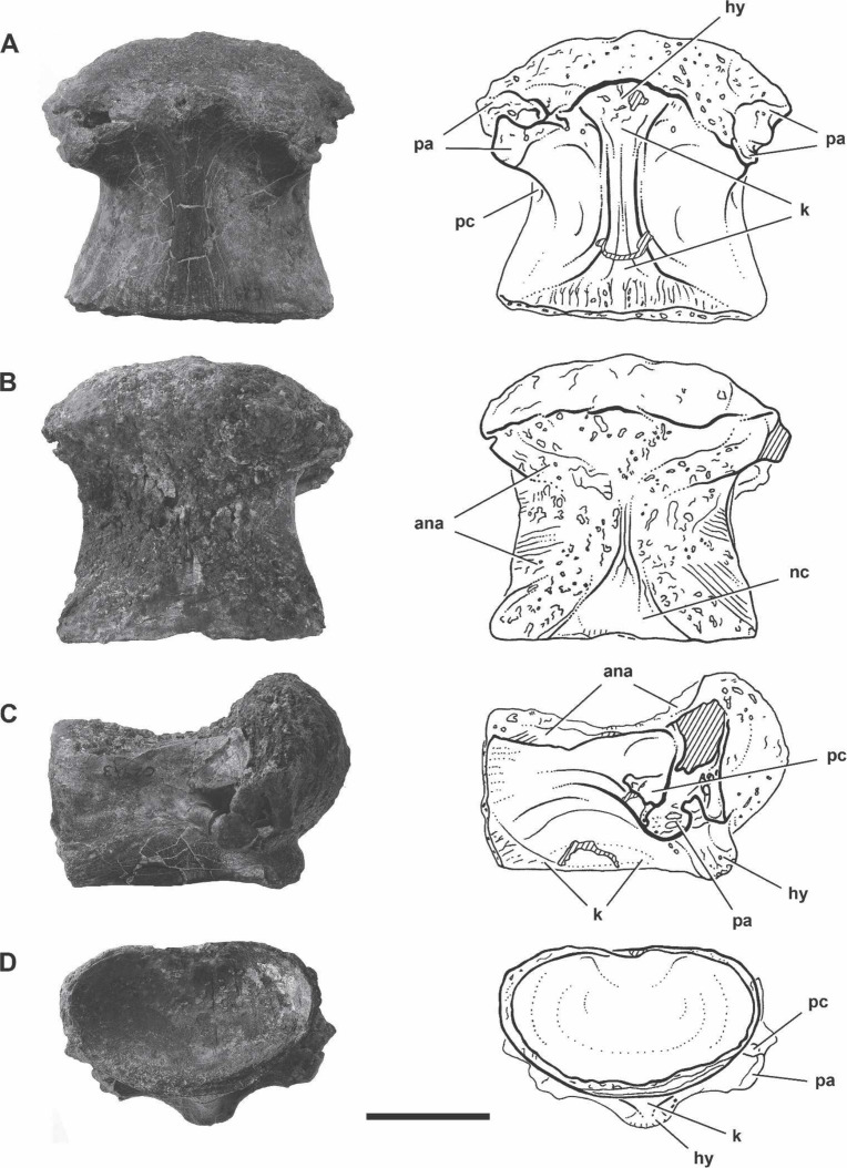 Appendix 4—figure 1.