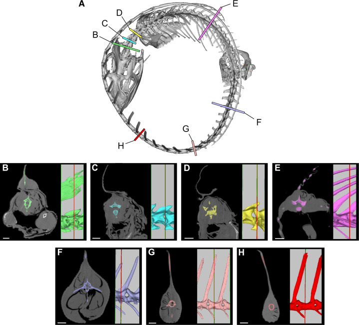 Figure 11.