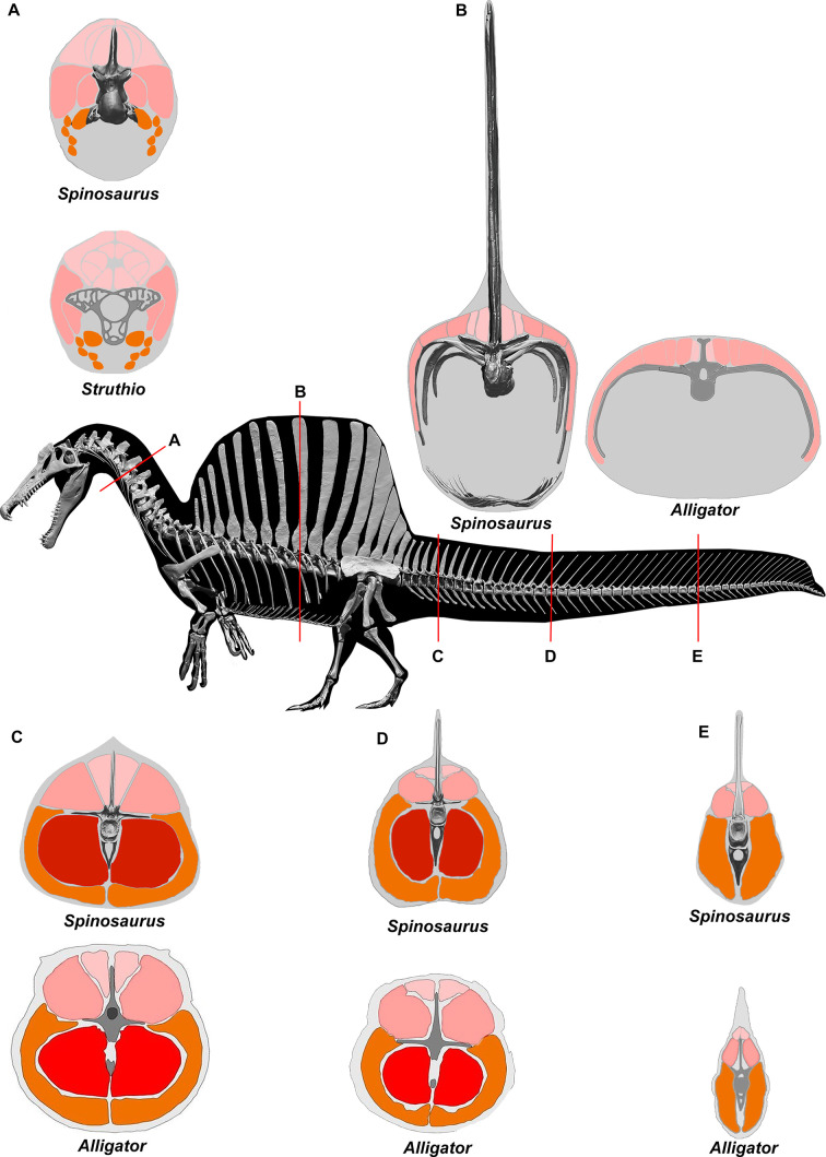 Figure 10.