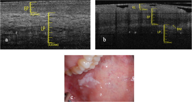 Fig. 9