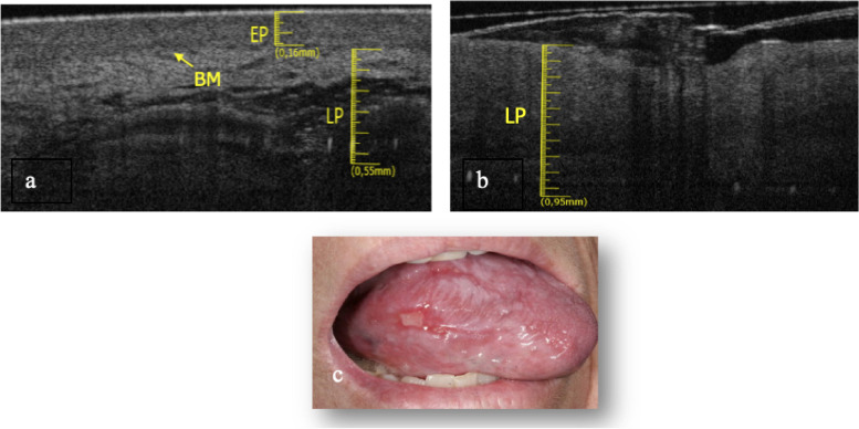 Fig. 7